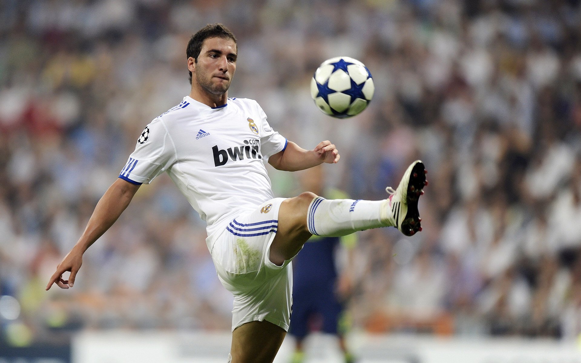 JackeyLove重返赛场，夺冠首场状态出色，塞尔维亚队观众沸腾！热度持续攀升