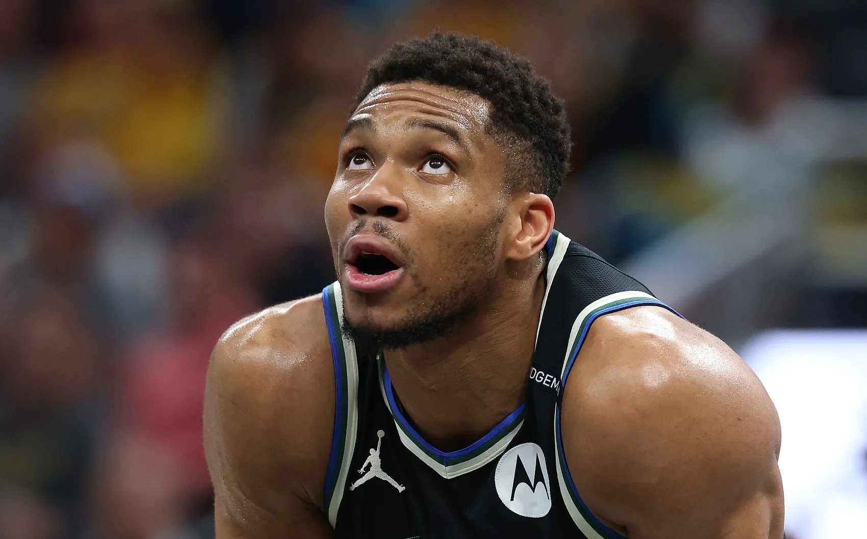 字母哥重返赛场,比赛局势复杂首场状态出色,勇士观众沸腾!再创辉煌时刻的简单介绍 字母哥重返赛场,比赛局势复杂首场状态出色,勇士观众沸腾!再创辉煌时刻的简单介绍